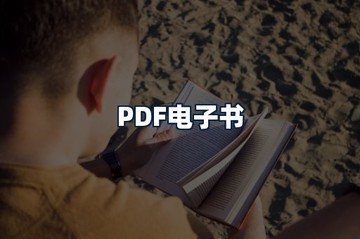 PDF电子书